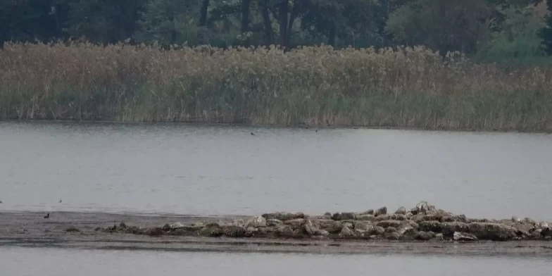 Sapanca Gölü'nde Tarihi